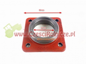 OPRAWA ŁOŻYSKA [BI22004]