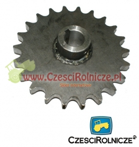 KOŁO ŁAŃCUCH.  1" 16B-1  Z-22 FI 30 [RO008]