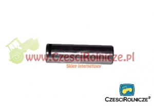 218 - SWORZEŃ SATELITY 6-CYL./NJ 2207/ [UD043218]