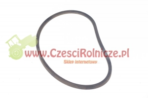 Z- 670   PAS KLINOWY [PK06701]