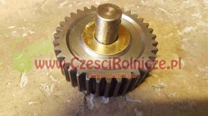 SATELITA KPL./ZE SWORZNIEM/ [UD045080]