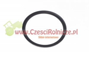 424 - MISECZKA II [UD049424]