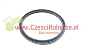 USZCZELNIACZ TŁOKA [CFP210A]