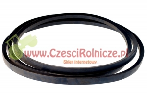 D-6000  PAS  KLINOWY [PK60007]