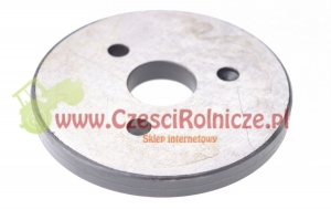 31 - PŁYTKA [UD043031]