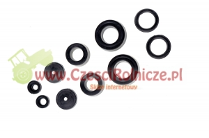 ZESTAW NAPRAWCZY K111 POMPY HAMULC. [UZ054122]