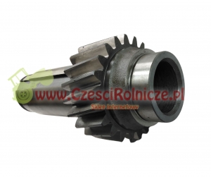 38 - WAŁEK ZĘBY SKOŚNE DŁ:255MM     89120016 [UD030238]