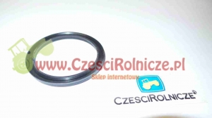 151 - PIERŚCIEŃ [UD042151]