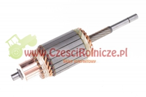 WIRNIK ROZRUSZNIKA [UZ120016]