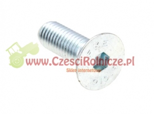 ŚRUBA [ŚS10040] 