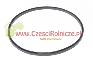 54 - USZCZELKA FILTRA POW.-MAŁA [UD015054]