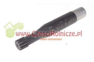 43 - WAŁEK [UD081043]