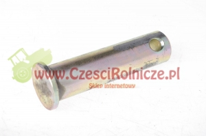 43 - SWORZEŃ [UD130043]