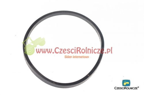 USZCZELKA FILTRA POW.- DUŻA