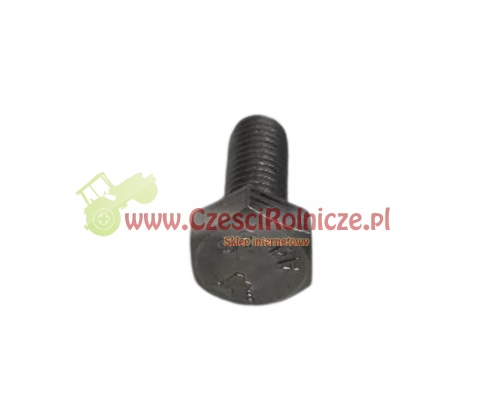 SCE061037-ZAM-2.jpg