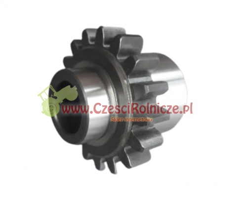 SCE111022-ZAM.jpg