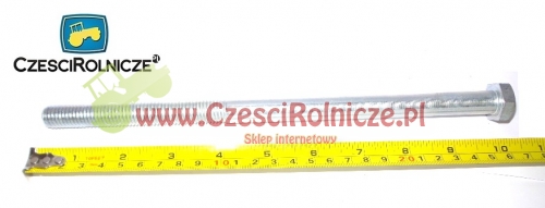 ZK003015.jpg