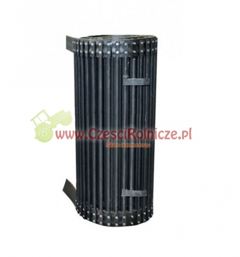 KZ032010-G.jpg