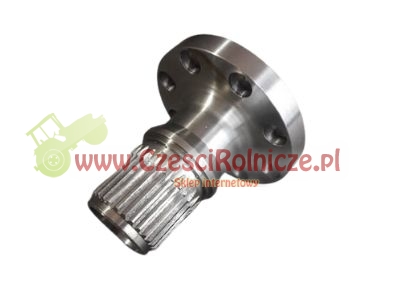 SCE062028-ZAM.jpg