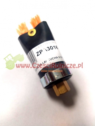 ZPA3016.jpg