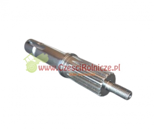 SCE111036-ZAM.jpg