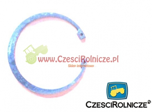 PIERŚCIEŃ OSADCZY 100W