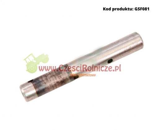GSF081.jpg