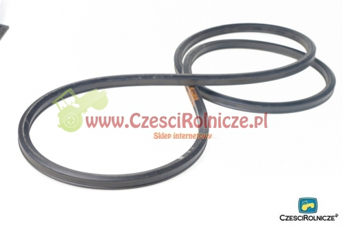 25/22-2900       PASEK SZESCIOKATNY   653121
