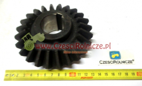 KOŁO STOŻKOWE Z-24  2208030030