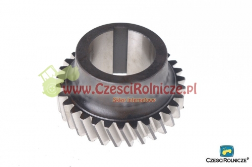 DOLNE KOŁO II BIEGU 3-BIEGOWA