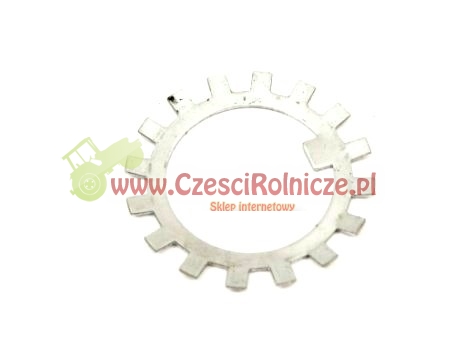 uz055024.jpg