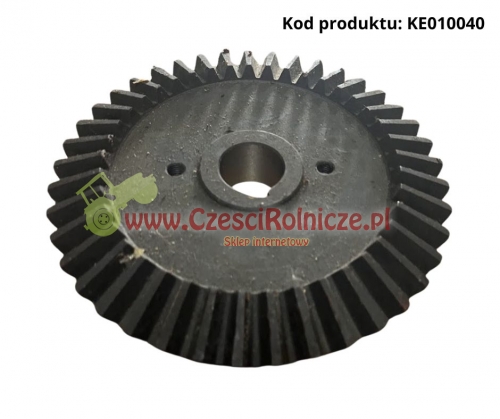 KE010040.jpg