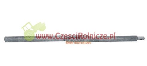 UZ036050.jpg