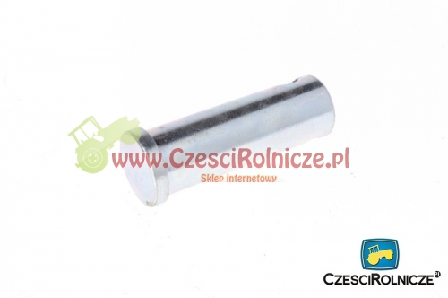 SWORZEŃ 