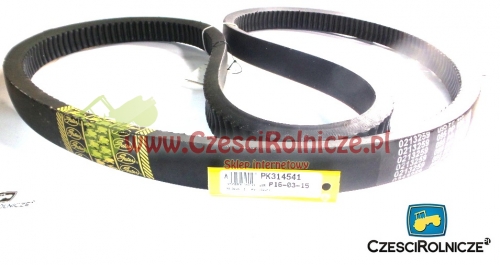 50-3195 LZ PAS JEZDNY 0213259