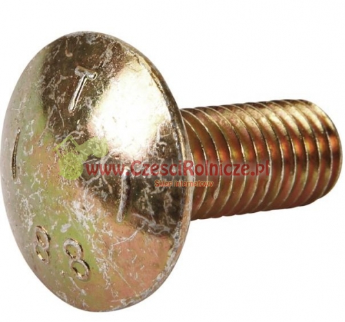 5025110  M10*25 ŚRUBA ZAMKOWA 