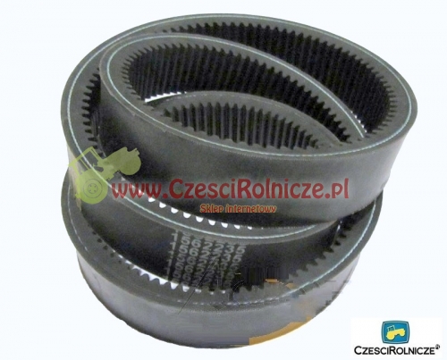 40-1590 LZ PAS KLINOWY 1562235 