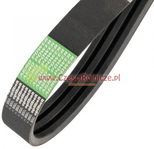 PK410037-O.jpg