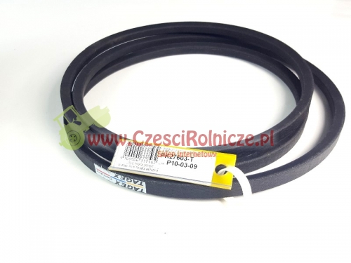 eca4099a-6148-4d19-bc50-c54e856ab31a.jpg