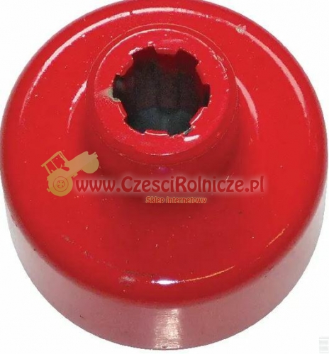 RO820.JPG