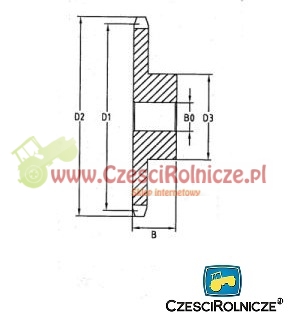 KOŁO ŁAŃCUCHOWE 1/2" 08B-1 Z-12 HARTOWANE