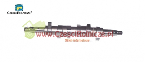 WAŁEK KRZYWK. 6-CYL. 20019-59