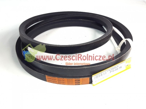 d3c17394-77cd-4bd5-b099-b0fb21f6c42c.jpg