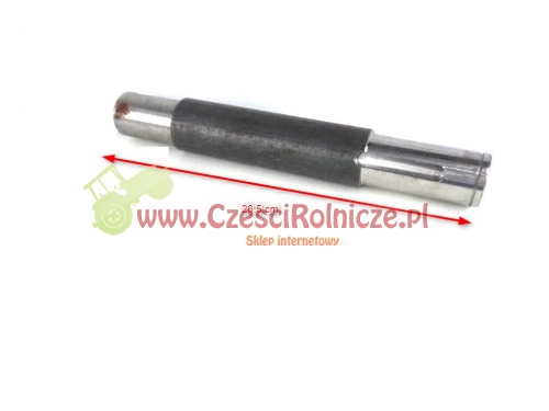 BI10910 (1).jpg
