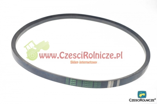 25*16-1731 PAS KLINOWY BIZON 