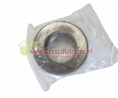 SCE068003-ZAM.jpg