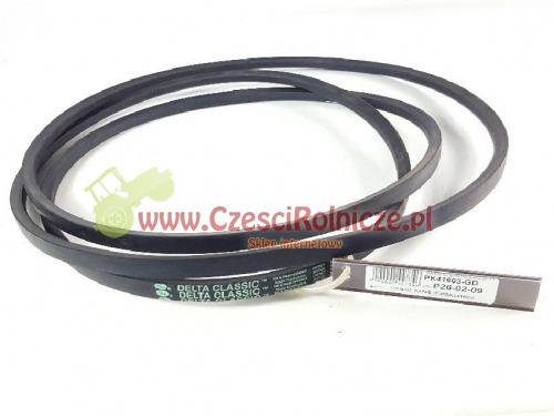 PK41603-GD.jpg