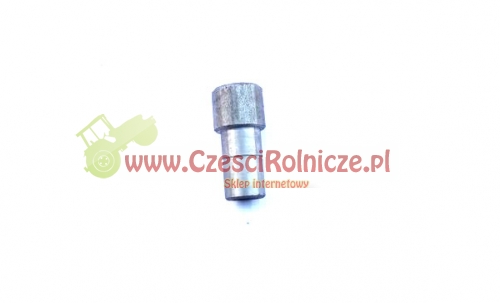 BI22833.jpg