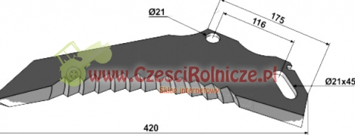 ZSP004.jpg