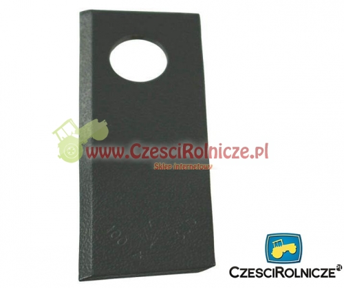 580290955KR.jpg